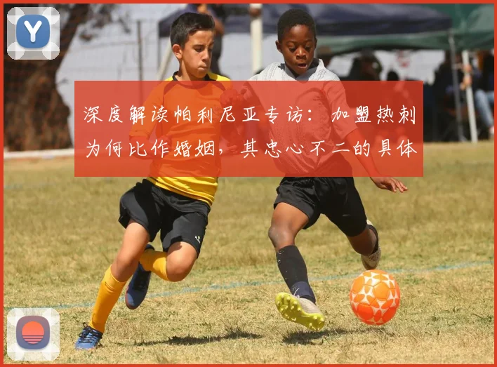深度解读帕利尼亚专访:加盟热刺为何比作婚姻,其忠心不二的具体表现与原因分析